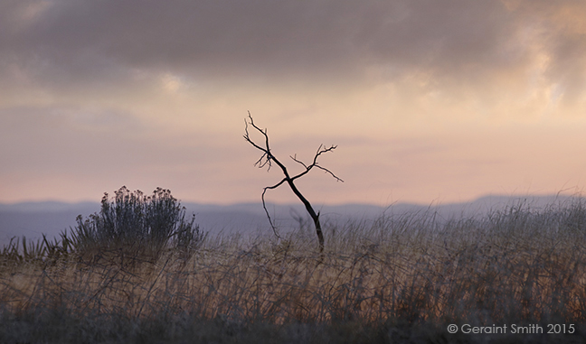 A mellow evening on the ridge, San Cristobal, NM